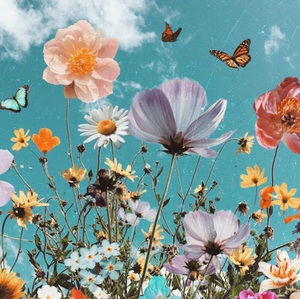 Meet your Posher, Rosemary